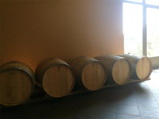 代理什么法国红酒的精品91视频适合